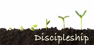 Discipleship